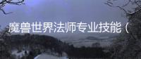 魔獸世界法師專業技能（魔獸世界法師技能等級）
