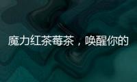 魔力紅茶莓茶，喚醒你的健康生活！