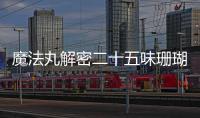 魔法丸解密二十五味珊瑚丸：美容養顏、增強免疫力，告別疲憊生活！
