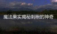 魔法果實揭秘刺楸的神奇功效，告別腸胃困擾！