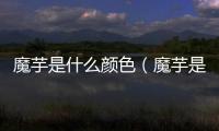 魔芋是什么顏色（魔芋是什么）