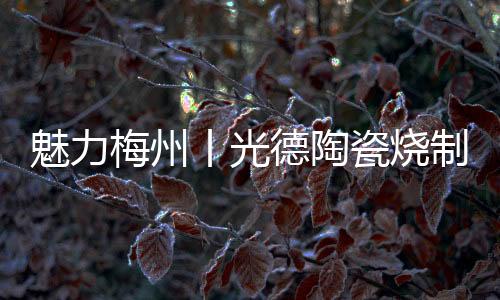 魅力梅州丨光德陶瓷燒制技藝 “活在當(dāng)下”“火在當(dāng)下”