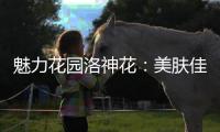 魅力花園洛神花：美膚佳品，千萬別錯過！