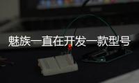 魅族一直在開發一款型號為M810L的新智能手機