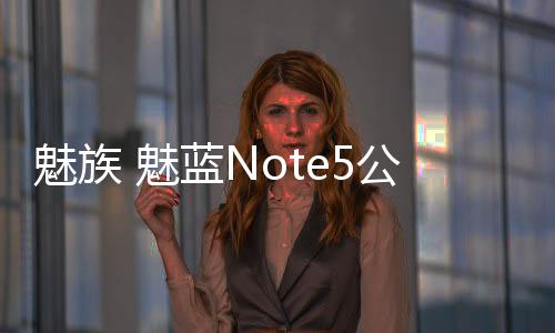 魅族 魅藍Note5公開版 全網(wǎng)通手機一鍵線刷救磚教程，輕松刷回官方系統(tǒng)