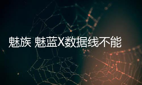 魅族 魅藍X數據線不能連接
