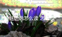 魎魅魍魑怎么讀 怎么讀魎魅魍魑
