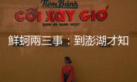 鮮蚵兩三事：到澎湖才知道，蚵仔的世界也是「人外有人、蚵外有蚵」