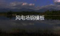 風(fēng)電場(chǎng)鋼模板