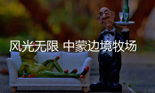 風(fēng)光無限 中蒙邊境牧場“綠”“利”兼收