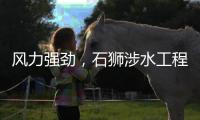 風力強勁，石獅涉水工程項目停工