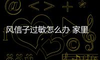 風信子過敏怎么辦 家里有孕婦可以養風信子嗎