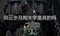 風云歲月陶大宇是真的嗎?