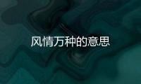 風(fēng)情萬(wàn)種的意思