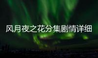 風(fēng)月夜之花分集劇情詳細(xì)介紹8