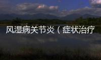 風(fēng)濕病關(guān)節(jié)炎（癥狀治療及預(yù)防）