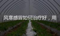 風寒感冒如何治療好，用什么藥，四種治療方式了解下