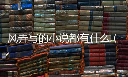 風(fēng)弄寫的小說都有什么（風(fēng)弄寫的小說有哪些）