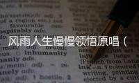 風雨人生慢慢領悟原唱（領悟原唱）