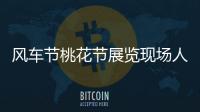 風車節桃花節展覽現場人氣火熱燈光秀廠家公司方案