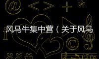 風馬牛集中營（關(guān)于風馬牛集中營的基本情況說明介紹）