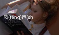 風(fēng)聲(shēng)鶴(hè)唳(lì)這是個什么梗?