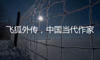 飛狐外傳，中國當代作家金庸所著長篇武俠小說