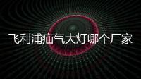 飛利浦疝氣大燈哪個廠家生產的（飛利浦疝氣大燈）