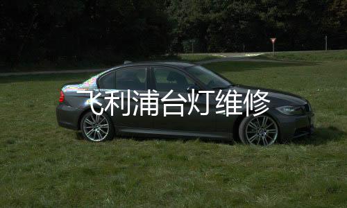 飛利浦臺(tái)燈維修