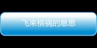 飛來橫禍的意思