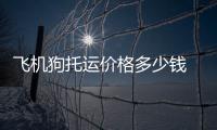 飛機狗托運價格多少錢  飛機托運狗狗收費標準