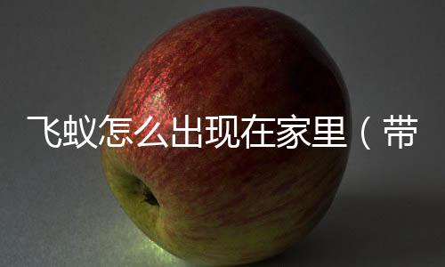 飛蟻怎么出現在家里（帶翅膀的黑色螞蟻到家原因）
