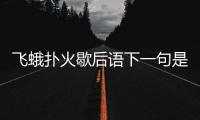 飛蛾撲火歇后語下一句是什么意思（飛蛾撲火歇后語下一句）