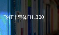 飛虹半導體FHL300N1F2A場效應管助力服務器提效降熱