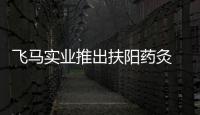 飛馬實業推出扶陽藥灸 傳承中醫技術為您的健康保駕護航