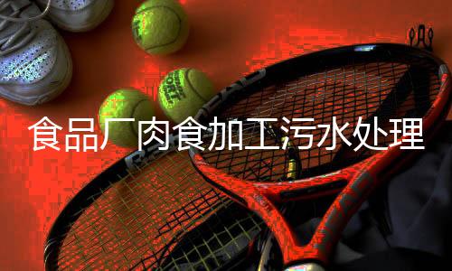 食品廠肉食加工污水處理設備