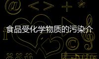 食品受化學物質的污染介紹