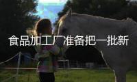 食品加工廠準(zhǔn)備把一批新釀的醋裝瓶運(yùn)往商店