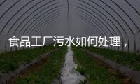 食品工廠污水如何處理，核心分為這五步！