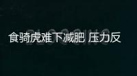 食騎虎難下減肥 壓力反能增肥