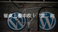 餐桌上看豐收丨“麥”向豐收·三夏觀察