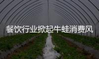 餐飲行業掀起牛蛙消費風潮，鎖鮮技術保障后方供應