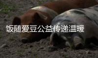 飯隨愛豆公益?zhèn)鬟f溫暖 吳亦凡粉絲支援抗洪災(zāi)區(qū)