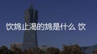 飲鴆止渴的鴆是什么 飲鴆止渴的鴆是什么鳥