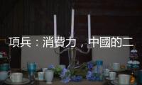 項兵：消費力，中國的二次人口紅利｜天下雜誌