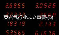 頁巖氣行業成立重要標準委