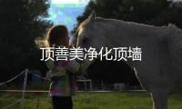 頂善美凈化頂墻