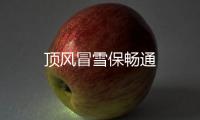 頂風冒雪保暢通