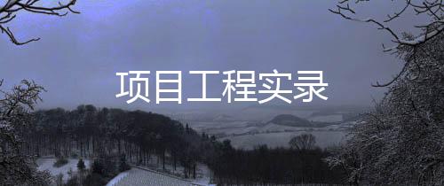 項目工程實錄