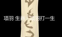 項(xiàng)羽 生肖（項(xiàng)羽打一生肖）